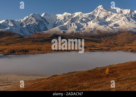 Erstaunlich herbst Blick von oben auf die Berge mit Schnee und einem goldenen Wald, Gletscher und Dichten flauschigen Nebel über dem See bedeckt bei Sonnenaufgang. Altai, Russland Stockfoto