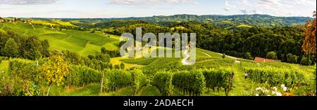 Panorama Blick auf Weinberge im Sommer in Slowenien. Herzförmige Straße in Spicnik Stockfoto