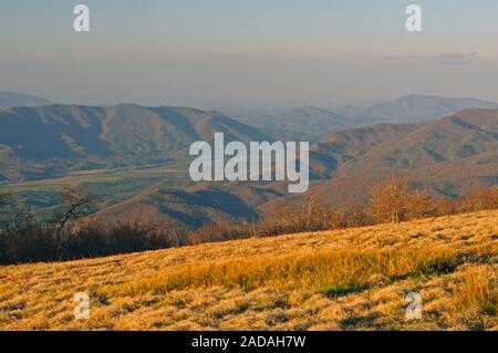 Abend Haze auf Gregory Kahle auf Cades Cove in den Smokey Mountains Stockfoto