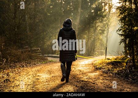 Mädchen in der Sonne wandern mit Beagle Hund an der Leine in Wald Weg. Stockfoto