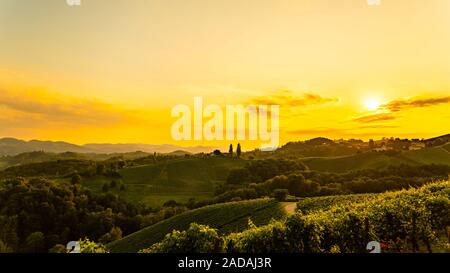 Österreichische Traube Hügel Aussicht von Wein Straße im Sommer. Touristische Destination, Reisen vor Ort. Stockfoto