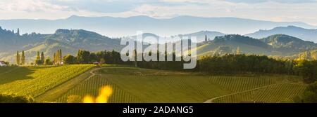 Im Süden der Steiermark Weinbergen Landschaft, in der Nähe von Gamlitz, Österreich, Eckberg, Europa. Traube Hügel Blick von der Weinstraße im Frühjahr. Touristische des Stockfoto