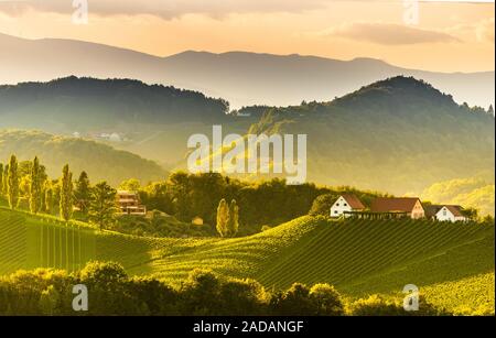 Im Süden der Steiermark Weinbergen Landschaft, in der Nähe von Gamlitz, Österreich, Eckberg, Europa. Traube Hügel Blick von der Weinstraße im Frühjahr. Touristische des Stockfoto