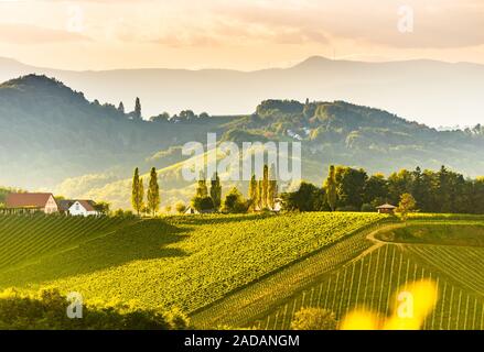 Im Süden der Steiermark Weinbergen Landschaft, in der Nähe von Gamlitz, Österreich, Eckberg, Europa. Traube Hügel Blick von der Weinstraße im Frühjahr. Touristische des Stockfoto