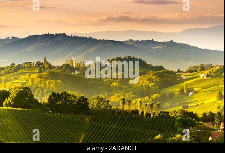 Im Süden der Steiermark Weinbergen Landschaft, in der Nähe von Gamlitz, Österreich, Eckberg, Europa. Traube Hügel Blick von der Weinstraße im Frühjahr. Touristische des Stockfoto