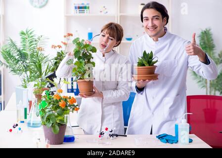 Zwei junge Botaniker im Labor arbeiten Stockfoto