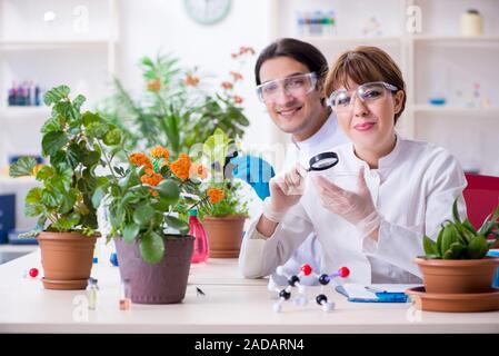 Zwei junge Botaniker im Labor arbeiten Stockfoto