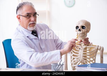 Alter männlicher Arzt mit Skelett Stockfoto