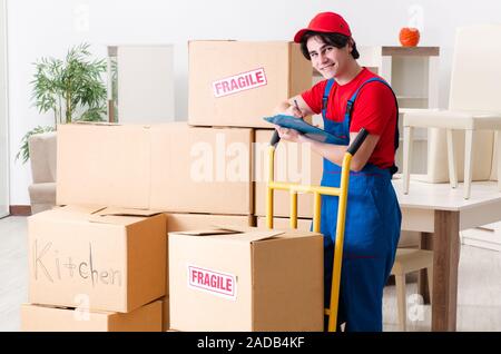 Junge männliche Auftragnehmer mit Feldern arbeiten im Innenbereich Stockfoto