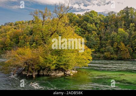 Herbst Beginn am Hochrhein in der Nähe von Schaffhausen, Schweiz Stockfoto