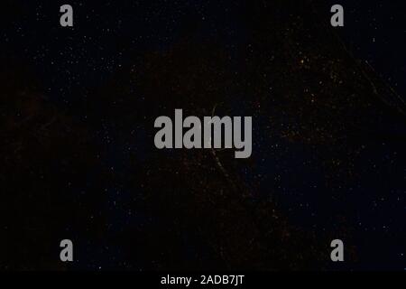 Nachts lange Belichtung des Sternenhimmels durch eine Überdachung der Bäume im Wald. Nachthimmel copyspace Platz für Text Stockfoto