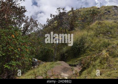 Mardi Himal Trek Nepal Stockfoto