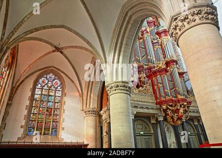 HAARLEM, Niederlande - 29 November 2019: Im Innenraum der Kirche St. Bavokerk, mit Säulen, bunte Gläser und die Orgel Stockfoto