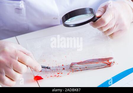 Die kriminologen Polizei Chemiker bei der Kriminalität Beweise suchen Stockfoto