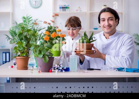 Zwei junge Botaniker im Labor arbeiten Stockfoto