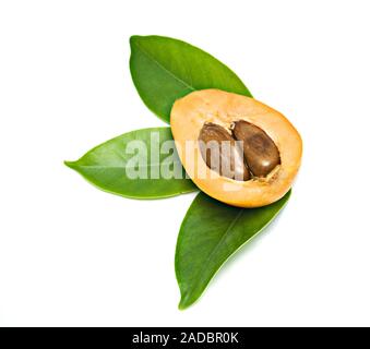 Abschnitt der Loquat auf Blätter auf weißem Hintergrund Stockfoto