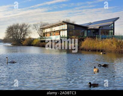 Naturschutzgebiet Attenborough, Centre, Nottingham, Großbritannien Stockfoto