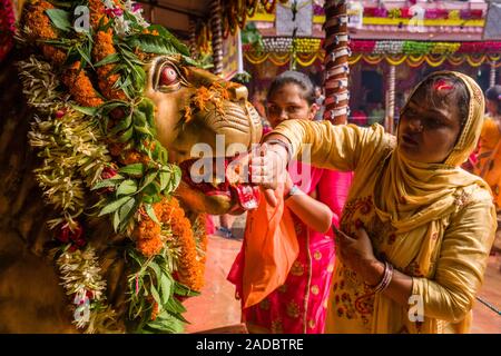 Frauen, die in einem goldenen Löwen Statue zu beten, die an der Zeremonie Khoich innerhalb des Ram Mandir bei Maha Astmi, dem wichtigsten Tag der Darsain Festival Stockfoto