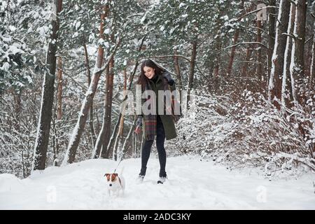 Glücklich zusammen. Frau in warme Kleidung Spaziergänge mit dem Hund in den verschneiten Wald. Ansicht von vorn Stockfoto