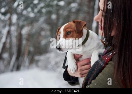 Sehr schönes Tier. Smiling brunette Spaß beim Spaziergang mit ihrem Hund im Winter Park Stockfoto