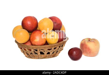 Aprikosen/Marillen, Nektarinen und Pfirsiche in backet Stockfoto