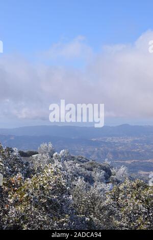 Schnee auf der Spur am Mount Diablo State Park, Contra Costa County, Kalifornien, USA Stockfoto