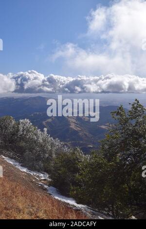 Schnee auf der Spur am Mount Diablo State Park, Contra Costa County, Kalifornien, USA Stockfoto