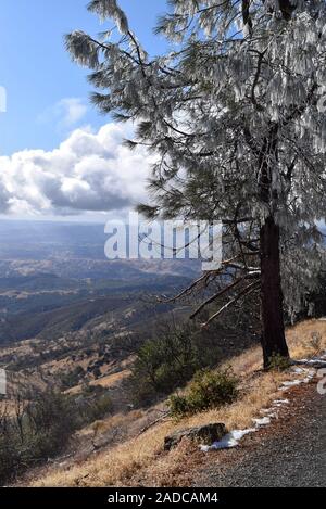 Schnee auf der Spur am Mount Diablo State Park, Contra Costa County, Kalifornien, USA Stockfoto