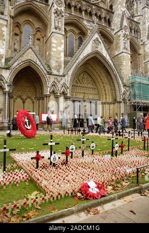 Mohn an der Royal British Legion Field der Erinnerung, Westminster Abbey, London, UK. Stockfoto