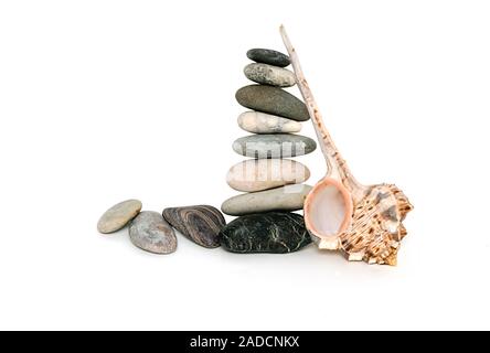 Haufen von Steinen und Sea Shell isoliert auf weißem backgrund Stockfoto