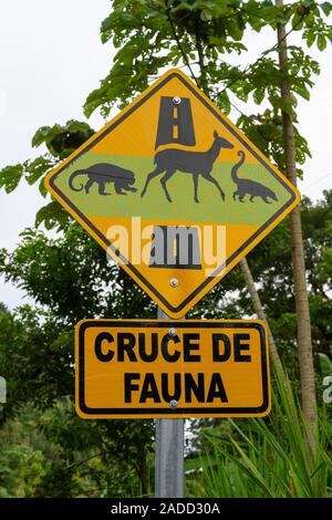 Verkehrszeichen auf einer Autobahn in Puntarenas Provinz Warnung der Tierwelt die Straße zu überqueren. Costa Rica Stockfoto