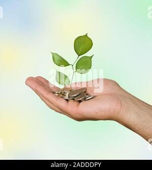 Palm mit einem Baum growng vom Stapel von Münzen Stockfoto