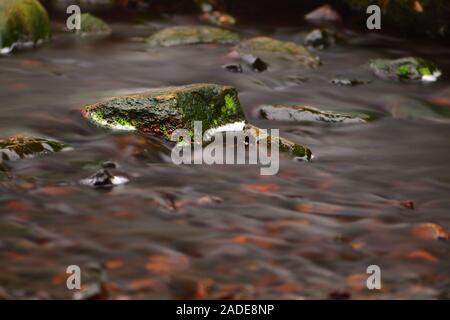 Grün bemoosten Felsen in dunklen Moor Wasser. Fotos mit langer Belichtungszeit, die Erfassung der Bewegung. Weiche, glatte Wald Fluss Landschaft Hintergrund. Stockfoto