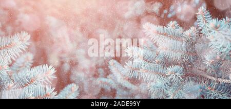 Winter verschneite Hintergrund mit blauen Tannenbaum Äste unter fallenden Schneeflocken. Blue Pine Tree Branches unter Winter fallenden Schnee, Nahaufnahme der Winter für Stockfoto