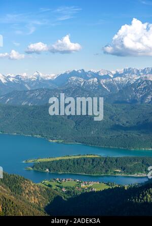 Blick vom Herzogstand zu Walchensee mit den Walchensee, an der Rückseite Alpenkamm, Oberbayern, Bayern, Deutschland Stockfoto