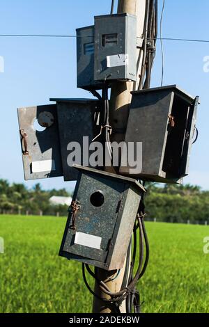 Closeup Schuss eine Neuerfindung aus elektrische m und Adern auf eine elektrische Post auf dem Land in der Nähe von Ben Tre, South Vietnam. Stockfoto