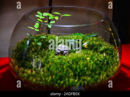 Steinerne Statue von lächelnden Jizo (Jizo Bosatsu) mit grünem Moos in einem Glas Vase. Stockfoto