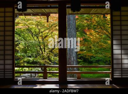 Traditionelle japanische Papier Schiebetüren und Tatami Matten Öffnen der schönen bunten Herbst anzeigen Blätter Ahorn im Garten. Stockfoto