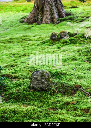 Statuen von lächelnden Jizo Bosatsu mit grünem Moos im Zen Garten in Sanzen-in Tempel, Kyoto, Japan. Stockfoto