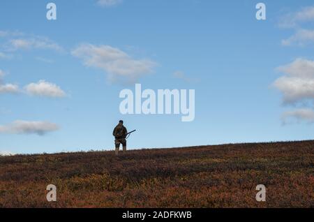 Mann in einem Gelände mit Herbstfarben in Finnmark, Norwegen. Vogel Jagd. Moorhuhn Jagd Finnmark. Stockfoto