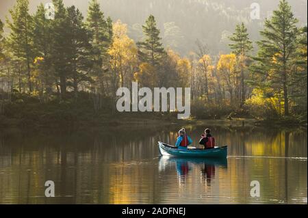 Paar Kanu auf dem Loch Beinn a' Mheadhoin mit Birke (Betula pendula) und Gemeine Kiefer (Pinus sylvestris) Wald, Glen Affric, Highlands, Schottland. Stockfoto