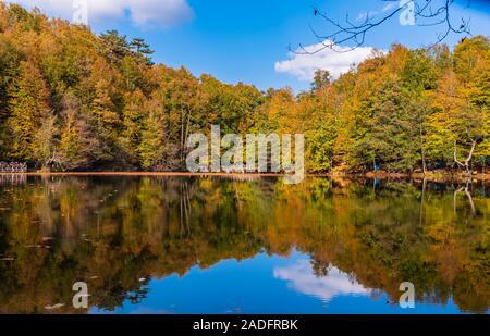 Herbstlandschaft im Bolu Yedigoller National Park. Gelbliche Blätter und See. Stockfoto