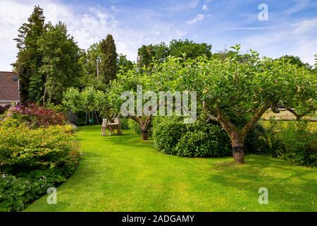 Blick auf abfallenden Garten mit Blumenrabatten. Mit Hazel, Malus 'Bramley" und Malus 'Discovery' Stockfoto