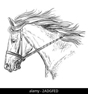 Horse Portrait mit Zaumzeug. Schönes Pferd Kopf mit langer Mähne im Profil in schwarzer Farbe auf weißem Hintergrund. Vektor Handzeichnung illustrati Stock Vektor