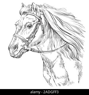 Horse Portrait mit Zaumzeug. Pferd Kopf mit langer Mähne im Profil in schwarzer Farbe auf weißem Hintergrund. Vektor hand Zeichnung Abbildung. Retro Stock Vektor