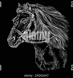 Horse Portrait mit Zaumzeug. Pferd Kopf mit langer Mähne im Profil in der Farbe Weiß auf schwarzem Hintergrund. Vektor hand Zeichnung monochrom Lllustrat Stock Vektor