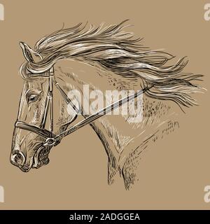 Horse Portrait mit Zaumzeug. Schönes Pferd Kopf mit langer Mähne im Profil in den Farben Schwarz und Weiß auf beige Hintergrund isoliert. Vektor hand Zeichnung Stock Vektor
