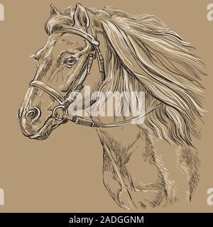 Horse Portrait mit Zaumzeug. Pferd Kopf mit langer Mähne im Profil in den Farben Schwarz und Weiß auf beige Hintergrund isoliert. Vektor Handzeichnung Lllustrat Stock Vektor