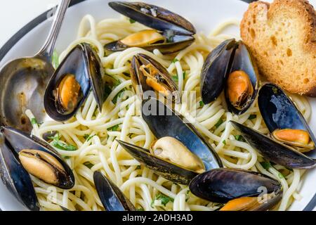 Muscheln Stockfoto