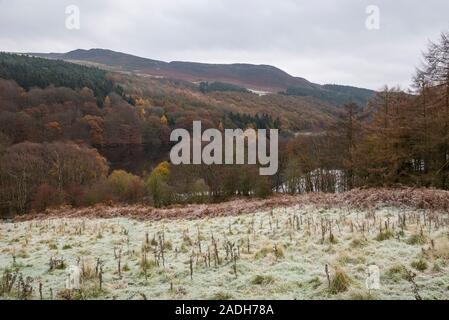 Ladybower Reservoir an einem kalten Novembermorgen. Peak District, Derbyshire, England. Stockfoto